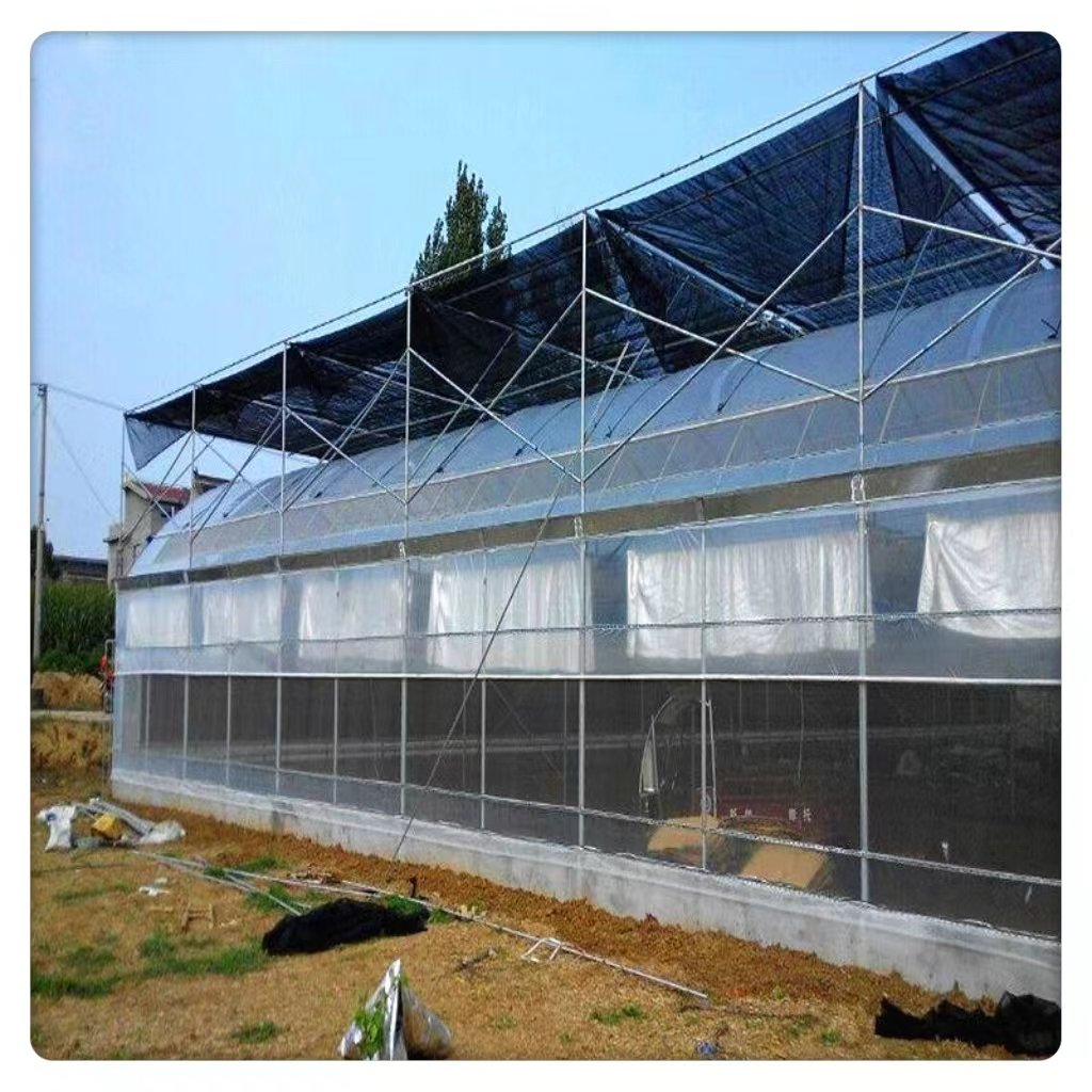 With Aluminum Frame Plastic Film Cover Plant Hydroponic Agriculture Available Single Double Layer Large Multi-Span Greenhouse