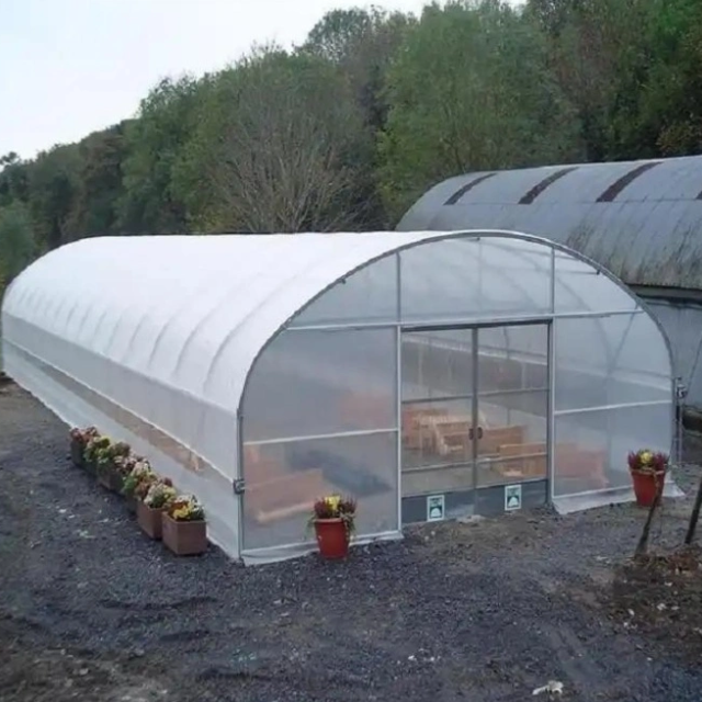 Durable PE/PO Film And Easy to Installed/Maintain Low-Cost Agricultural/Commercial Single Span Tunnel Greenhouse
