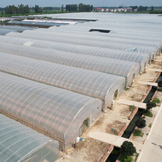 Durable PE/PO Film And Easy to Installed/Maintain Low-Cost Agricultural/Commercial Single Span Tunnel Greenhouse