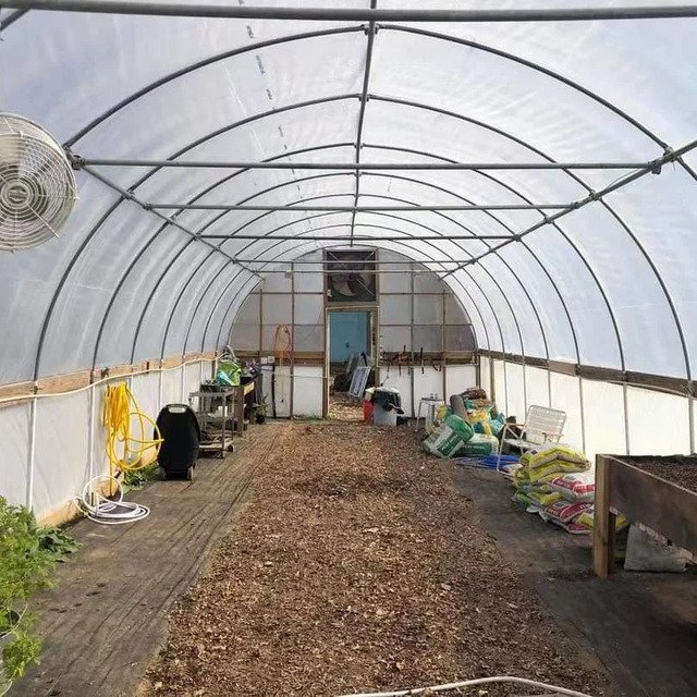 Durable PE/PO Film And Easy to Installed/Maintain Low-Cost Agricultural/Commercial Single Span Tunnel Greenhouse