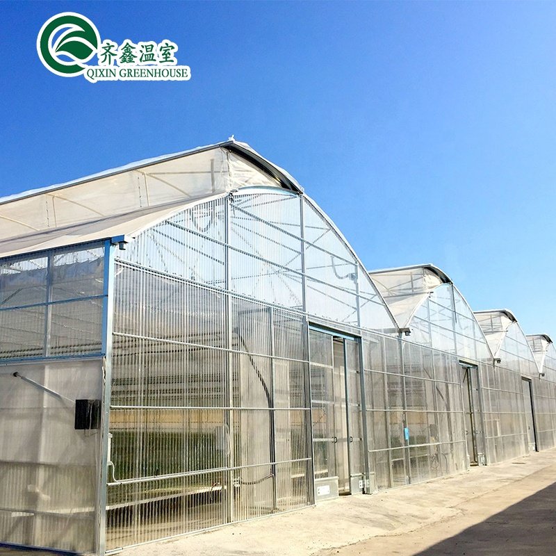 South Korea Greenhouse with seedbed system