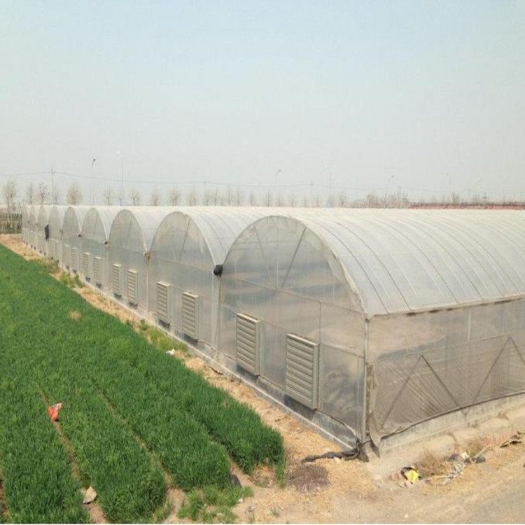 Low cost agricultural greenhouses pe film grow house greenhouse dome industrial greenhouse