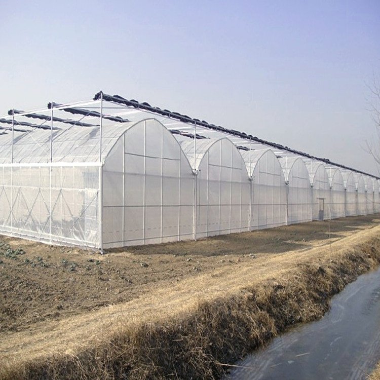 Low cost agricultural greenhouses pe film grow house greenhouse dome industrial greenhouse