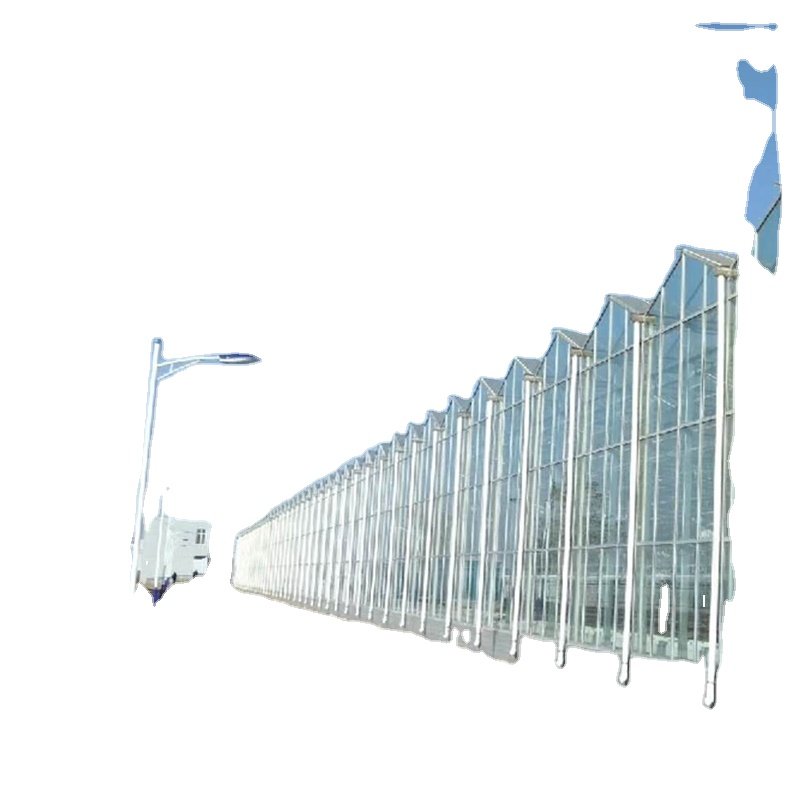 High Quality Low Cost High Strength Multi Span PC (polycarbonate) Board Production Greenhouse