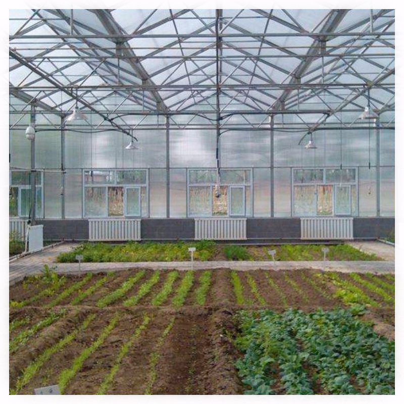 High Quality Low Cost High Strength Multi Span PC (polycarbonate) Board Production Greenhouse