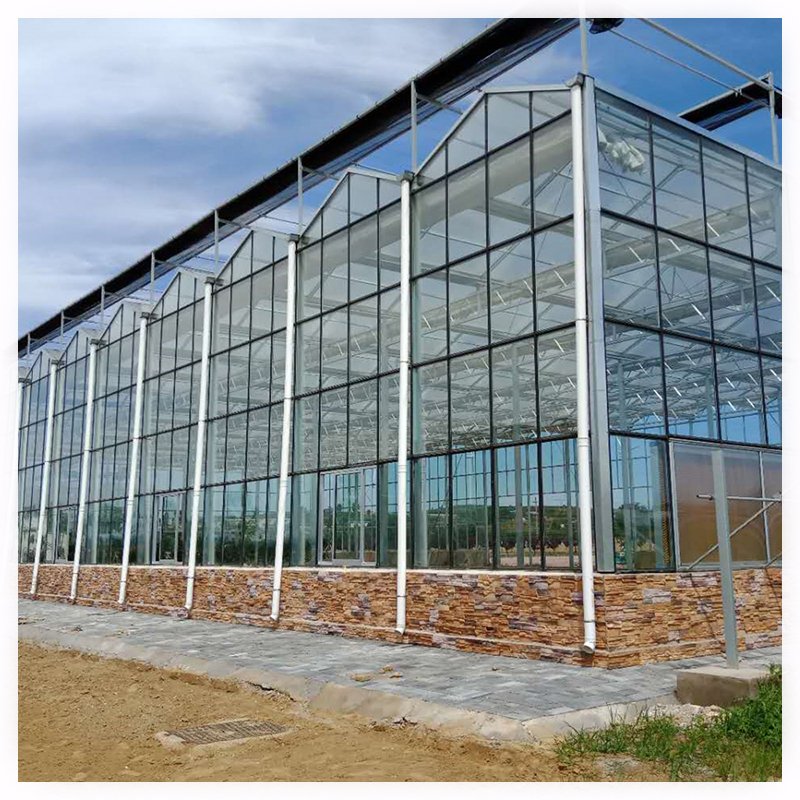 High Quality Low Cost High Strength Multi Span PC (polycarbonate) Board Production Greenhouse