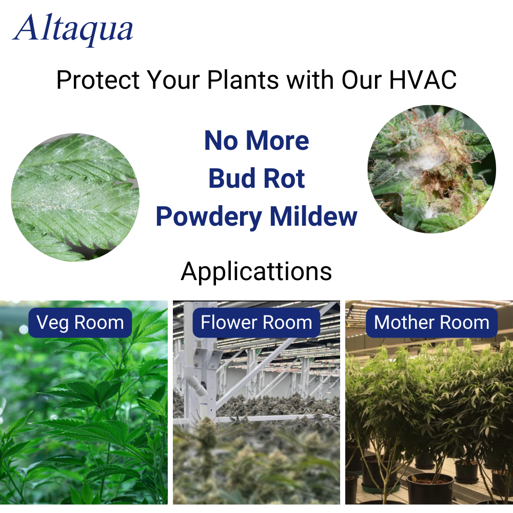 Altaqua Grow Room HVAC System Indoor Plant Cultivation Greenhouses For Agriculture