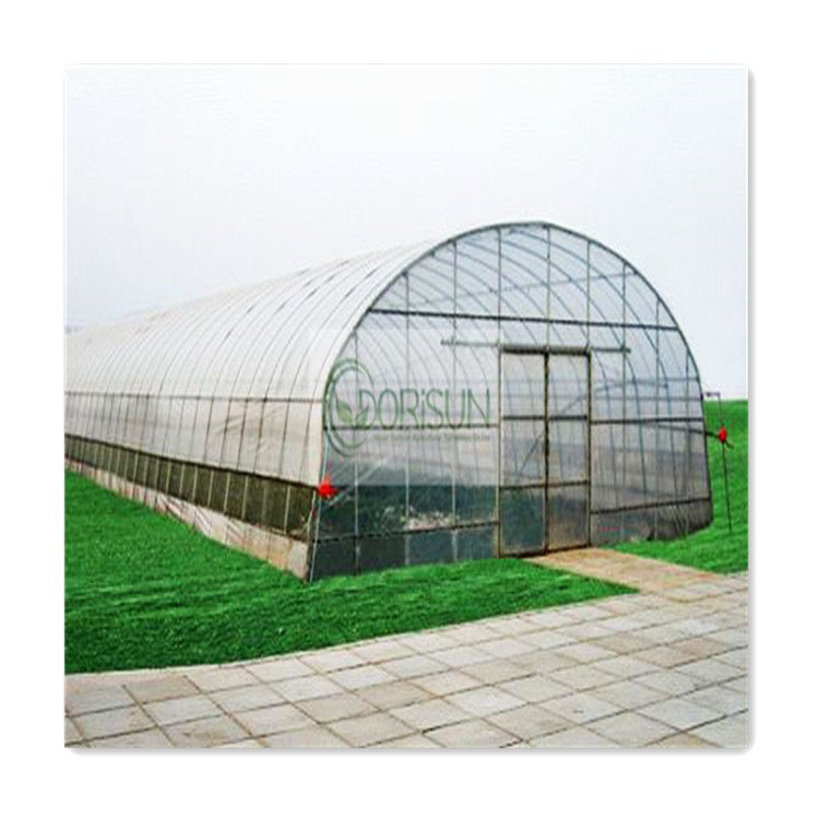 Farming Complete Winter Hydroponic 8 X 20 Plastic Uv Dome Green House for African Weather