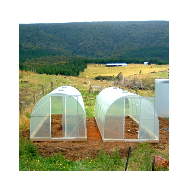 Galvanized steel Frame Single span PE Film greenhouse for Agriculture
