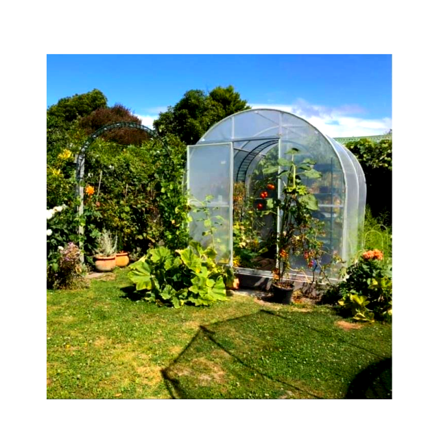Galvanized steel Frame Single span PE Film greenhouse for Agriculture
