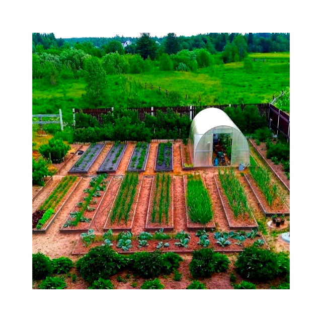 Galvanized steel Frame Single span PE Film greenhouse for Agriculture