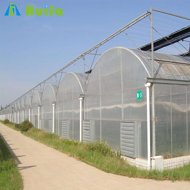 Large Size High Tunnel Agricultural Greenhouse To Sow Tomatoes For Sale