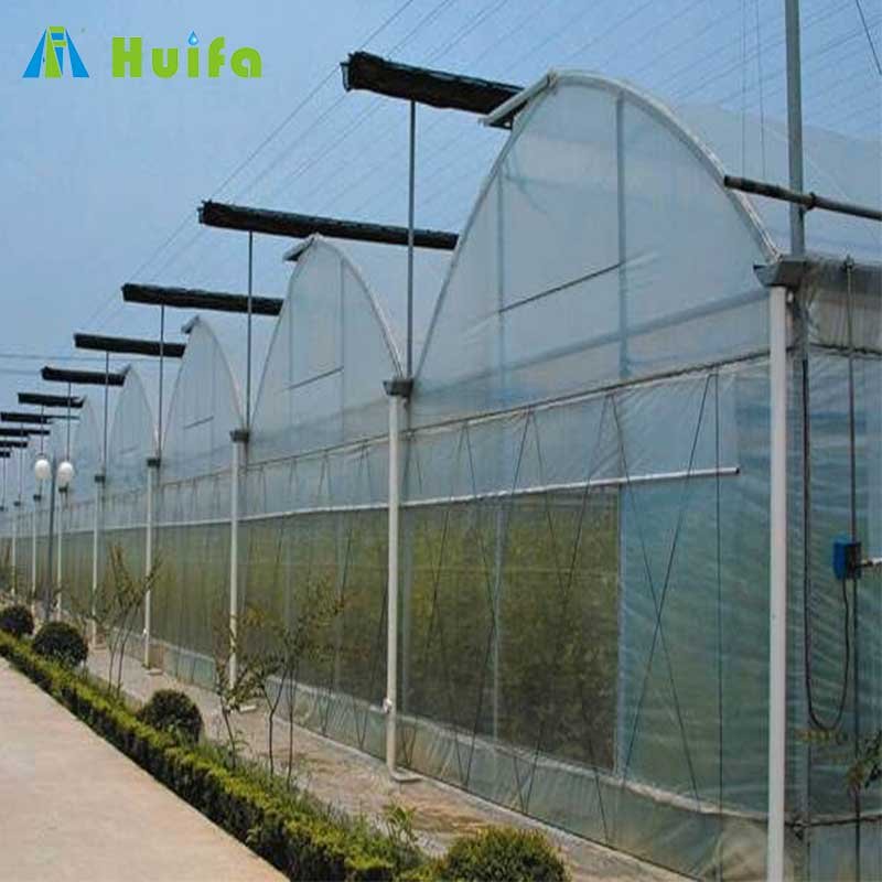 Large Size High Tunnel Agricultural Greenhouse To Sow Tomatoes For Sale