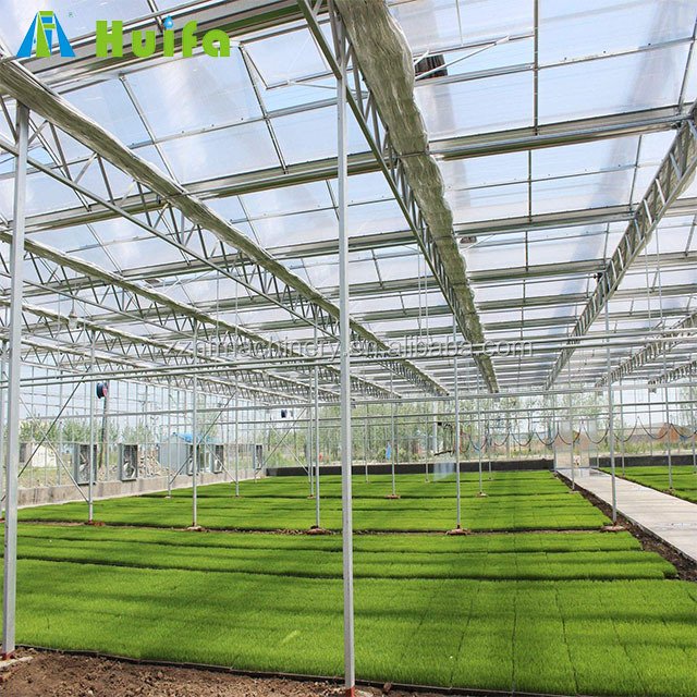 Large Size High Tunnel Agricultural Greenhouse To Sow Tomatoes For Sale