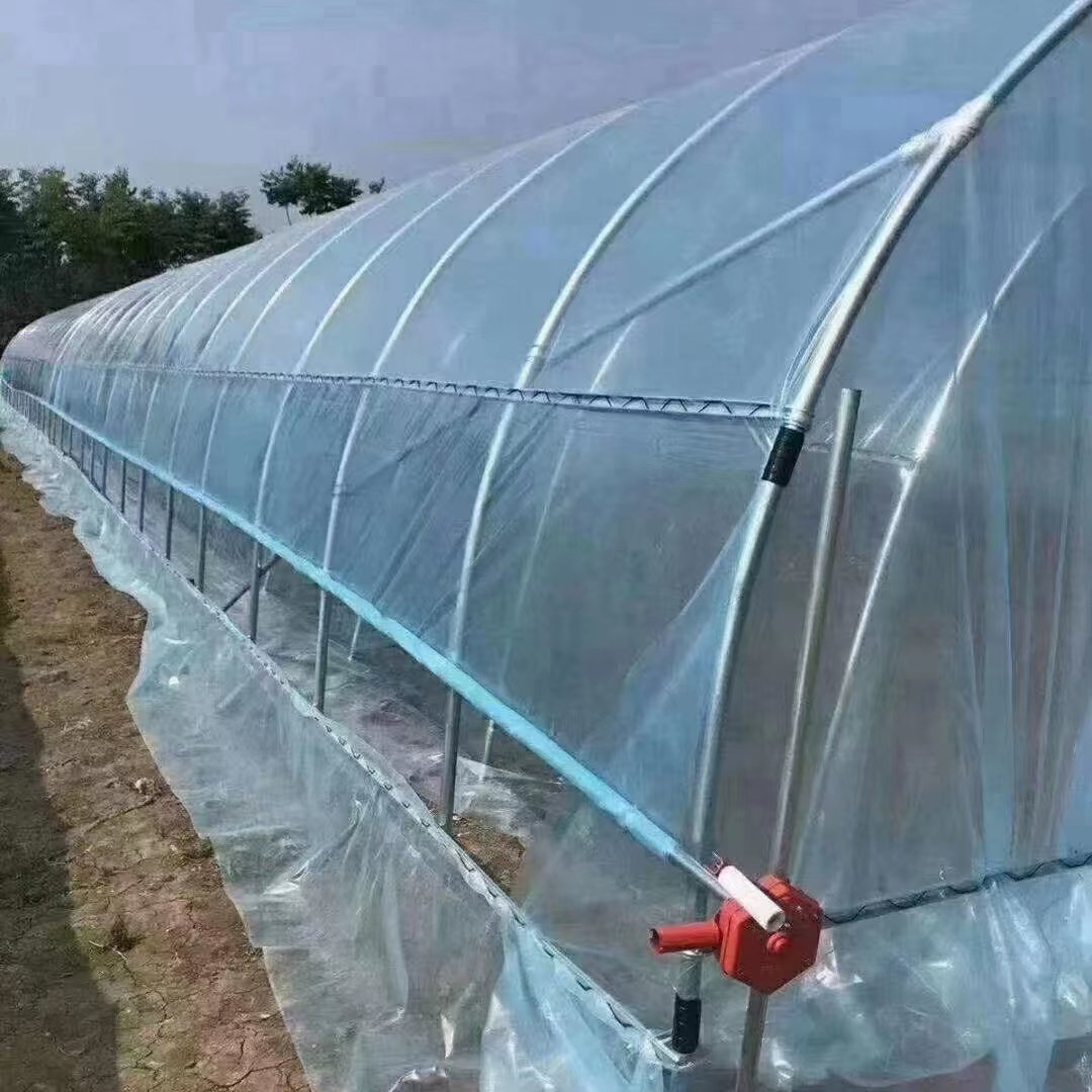 Agriculture Greenhouse Tunnel Single-Span Greenhouse With Ventilation System For Tomatoes Planting
