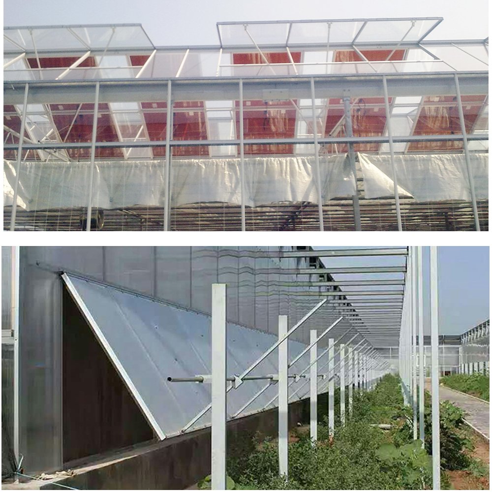 Agriculture Greenhouse Tunnel Single-Span Greenhouse With Ventilation System For Tomatoes Planting