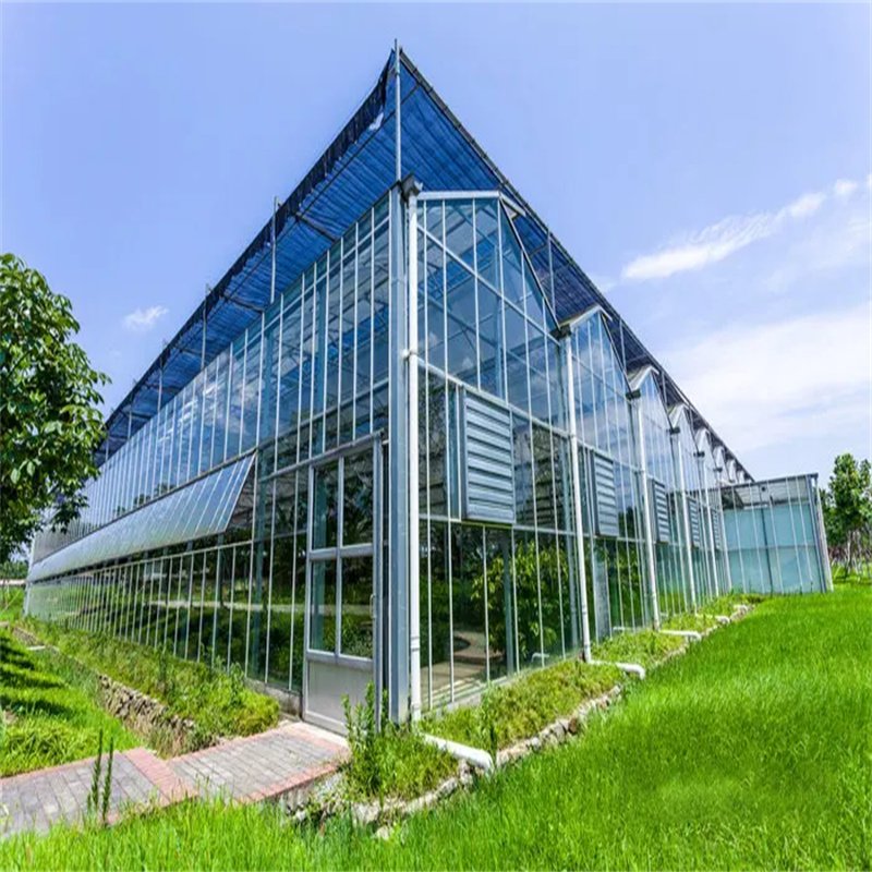 Agriculture Greenhouse Tunnel Single-Span Greenhouse With Ventilation System For Tomatoes Planting
