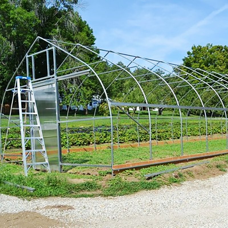 Wholesale High Tunnel Tomato Greenhouse with Shade Net Economic Agricultural Greenhouses for Export