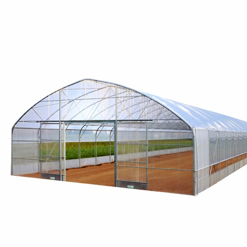 Wholesale High Tunnel Tomato Greenhouse with Shade Net Economic Agricultural Greenhouses for Export