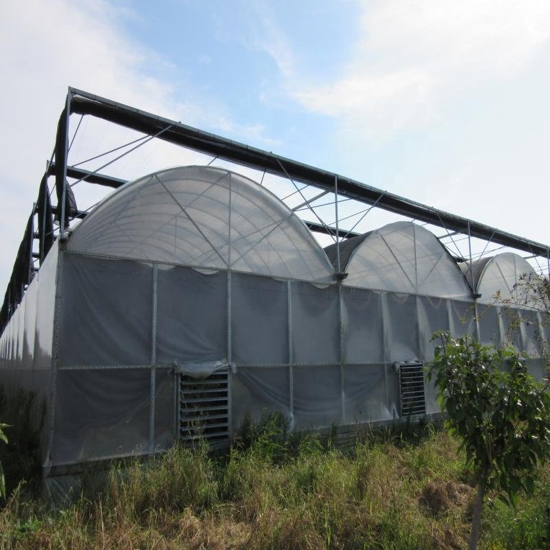 Multi-span Agricultural Greenhouse Plastic Film Farming Greenhouse