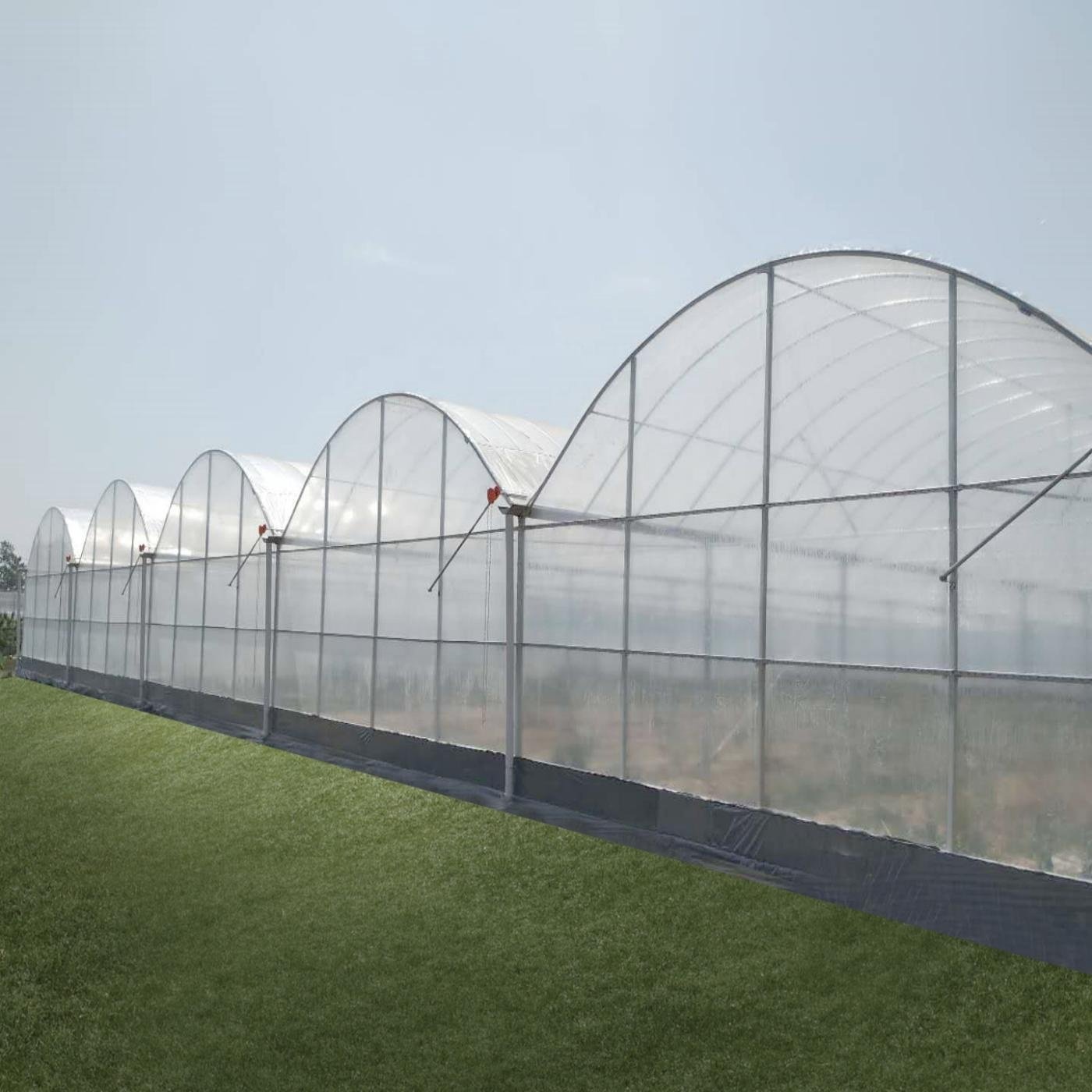 Multi-span Agricultural Greenhouse Plastic Film Farming Greenhouse