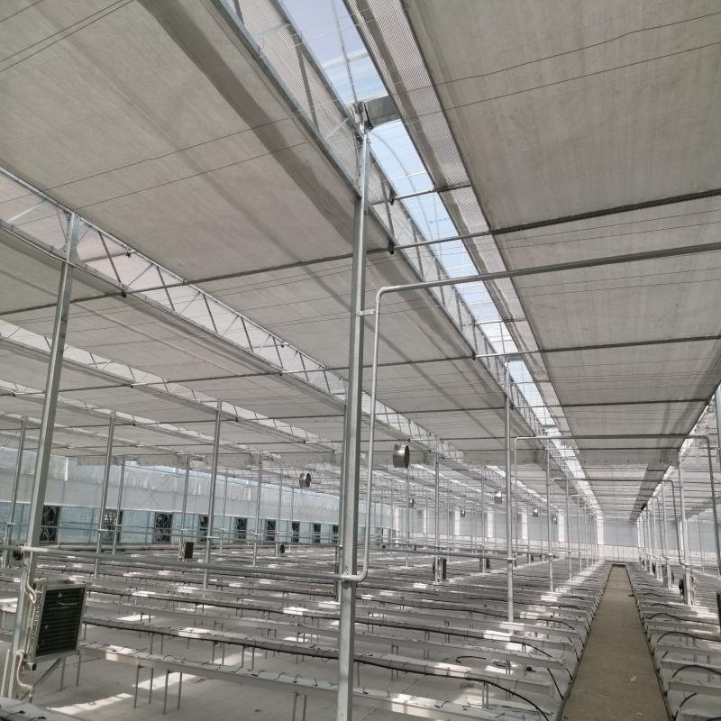 Multi-span Agricultural Greenhouse Plastic Film Farming Greenhouse