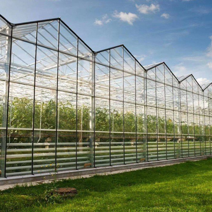 Metal Frame Agriculture Greenhouse For Tomatoes Agricultural Mushroom