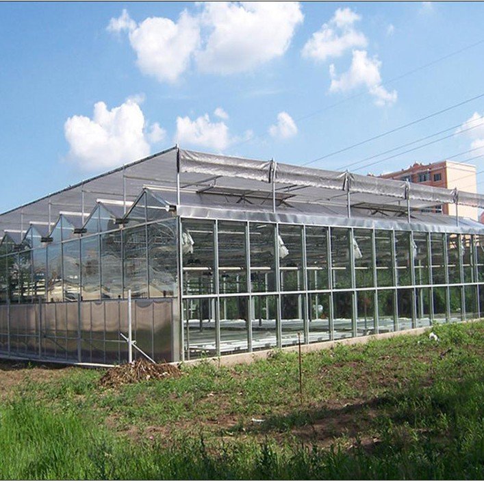 Metal Frame Agriculture Greenhouse For Tomatoes Agricultural Mushroom