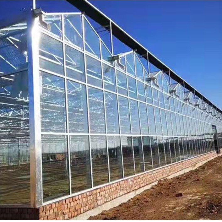 Metal Frame Agriculture Greenhouse For Tomatoes Agricultural Mushroom