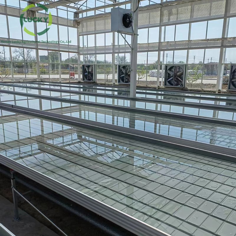 Self Watering Table Commercial Greenhouse Ebb And Flow Trays Hydroponic Growing System Automated Seedbed For Micro-Green
