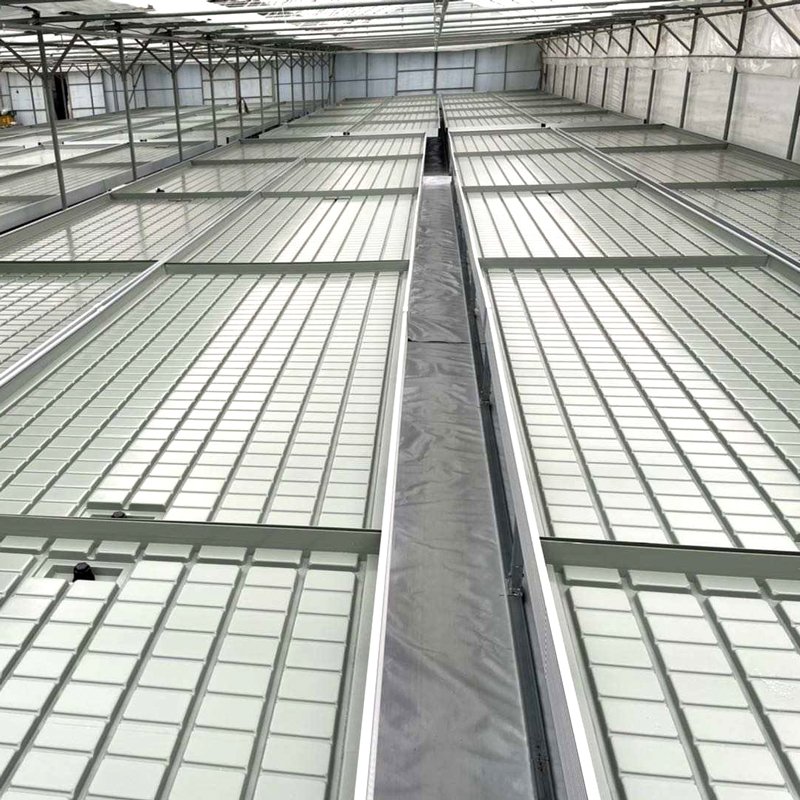 Self Watering Table Commercial Greenhouse Ebb And Flow Trays Hydroponic Growing System Automated Seedbed For Micro-Green