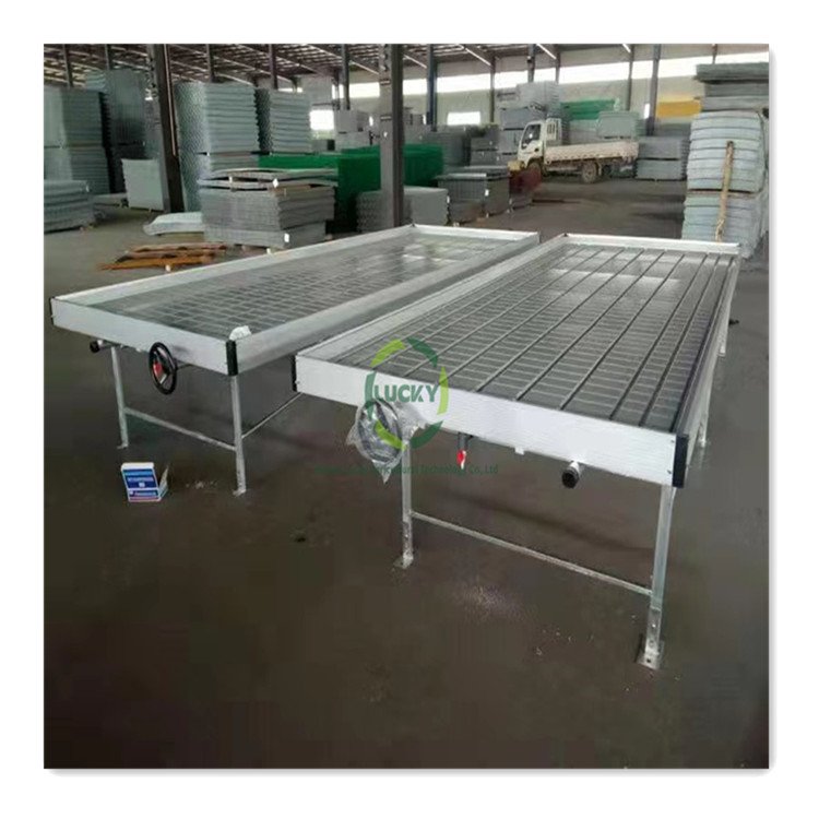Self Watering Table Commercial Greenhouse Ebb And Flow Trays Hydroponic Growing System Automated Seedbed For Micro-Green