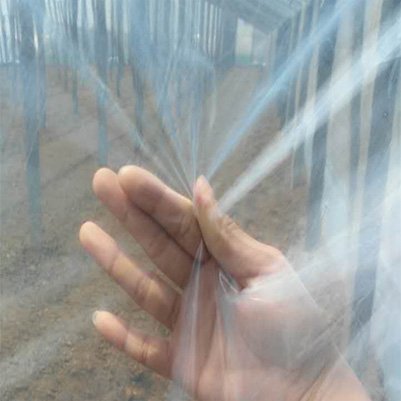 Best Selling PE Green house Film Agricultural Polyethylene Greenhouse Plastic Film