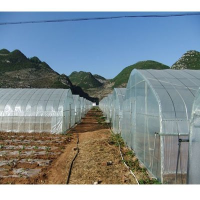 Best Selling PE Green house Film Agricultural Polyethylene Greenhouse Plastic Film