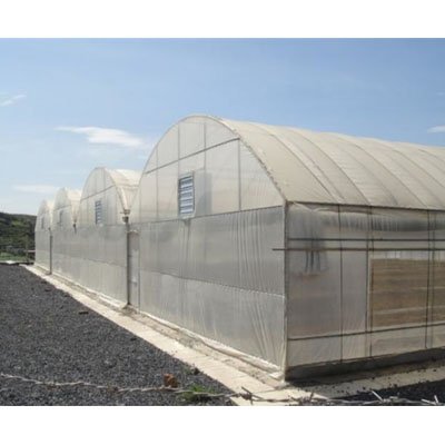 Best Selling PE Green house Film Agricultural Polyethylene Greenhouse Plastic Film