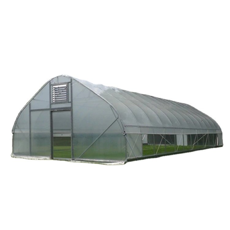 Tunnel home greenhouse low cost agricultural greenhouse for sale customize single-span greenhouse home growing system