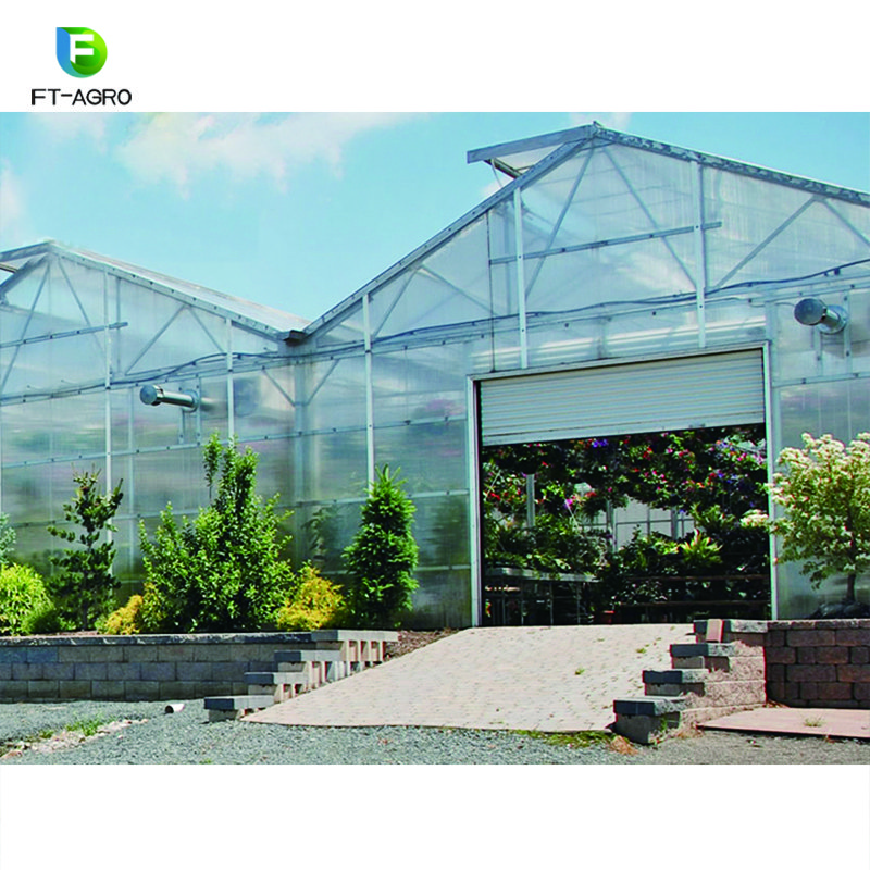 Greenhouse PC sheet vegetable production complete greenhouses china