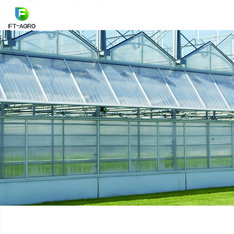 Greenhouse PC sheet vegetable production complete greenhouses china