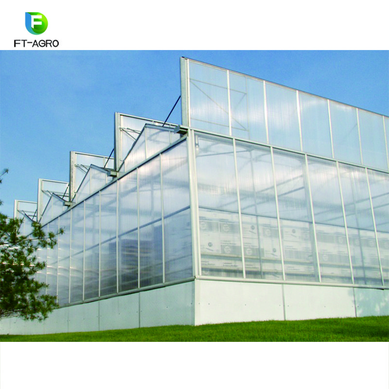 Greenhouse PC sheet vegetable production complete greenhouses china