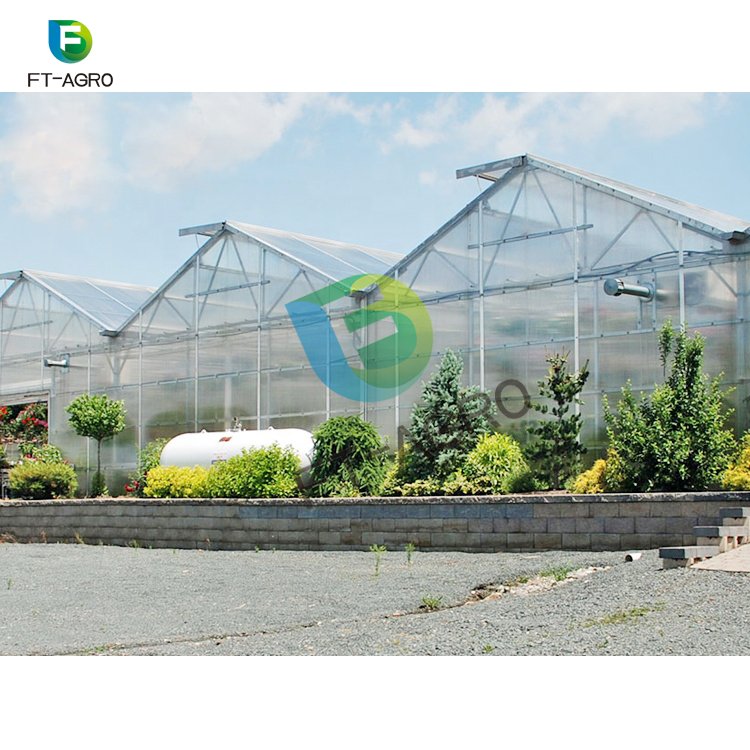 Greenhouse PC sheet vegetable production complete greenhouses china