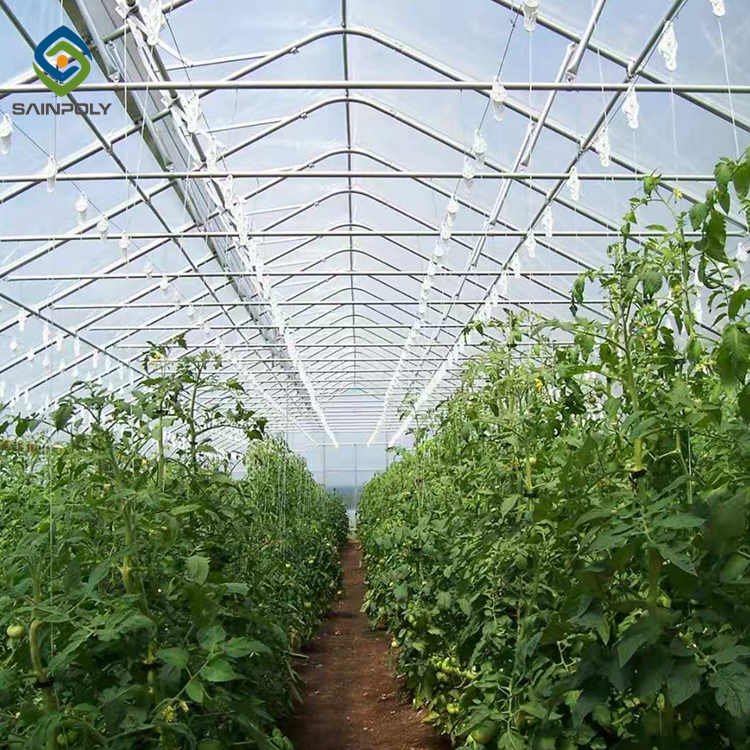 Sainpolytunnel greenhouse in poland plastic film 8x30m vegetable green farm house vertical farm agricultural greenhouse for tom