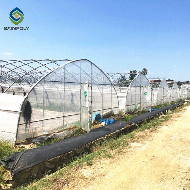 Sainpolytunnel greenhouse in poland plastic film 8x30m vegetable green farm house vertical farm agricultural greenhouse for tom