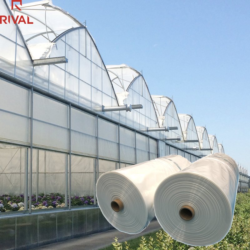 Custom 5 Layer Co-extrusion Agriculture Polyethylene 200 micron Greenhouse Plastic Film for Farm Use