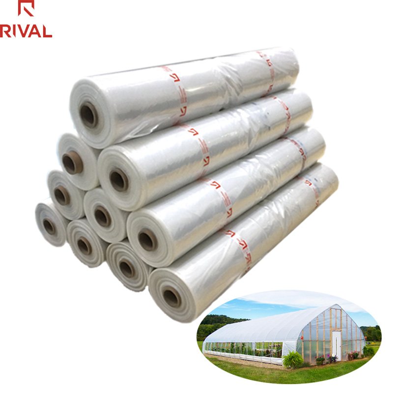Custom 5 Layer Co-extrusion Agriculture Polyethylene 200 micron Greenhouse Plastic Film for Farm Use