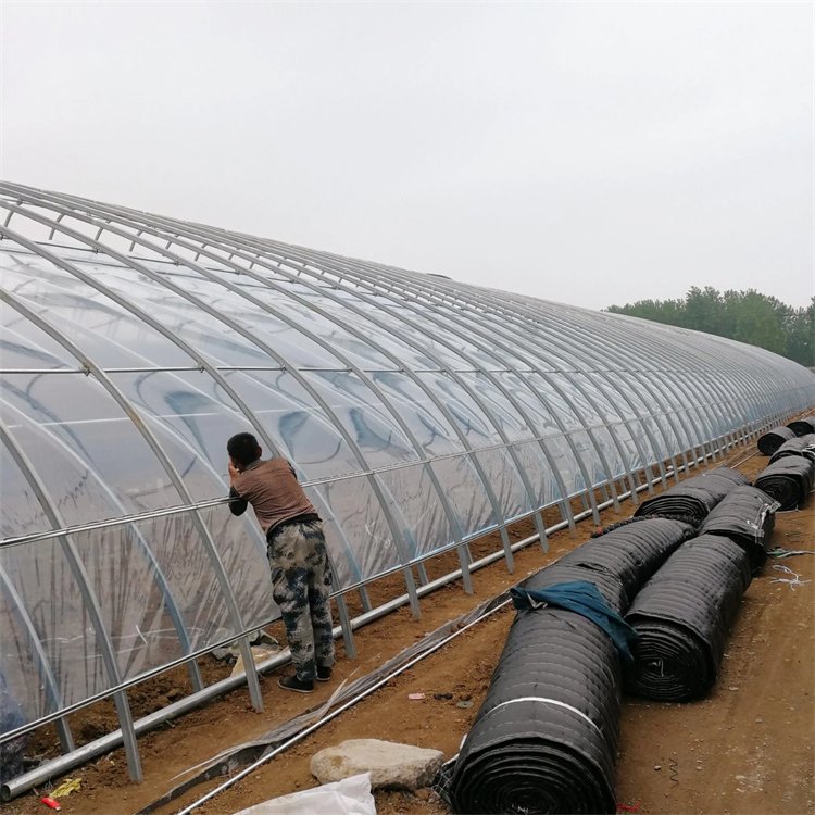 Heat Preservation double layer agricultural greenhouse low cost passive in-solar greenhouses