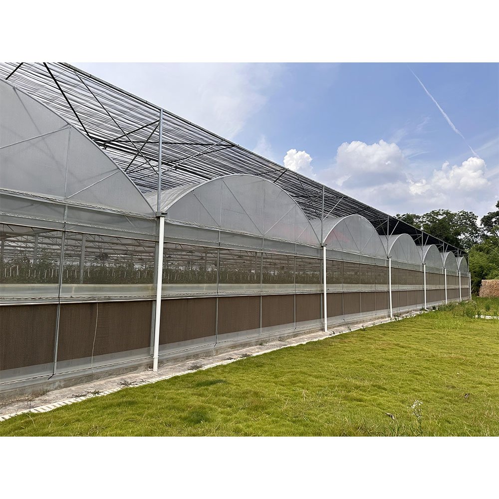Hot Sale Agriculture Greenhouse Multi-Span Greenhouse With Hydroponic Growing Systems