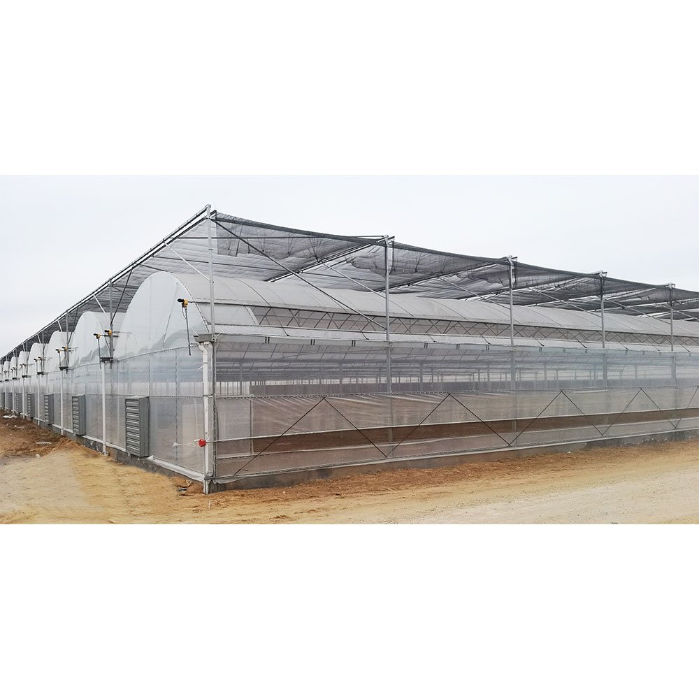 Hot Sale Agriculture Greenhouse Multi-Span Greenhouse With Hydroponic Growing Systems
