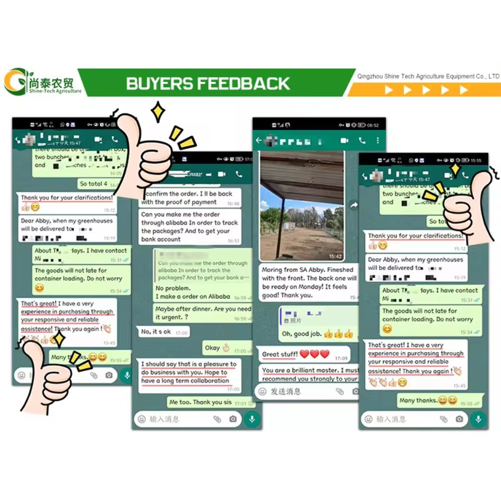Hot Sale Agriculture Greenhouse Multi-Span Greenhouse With Hydroponic Growing Systems