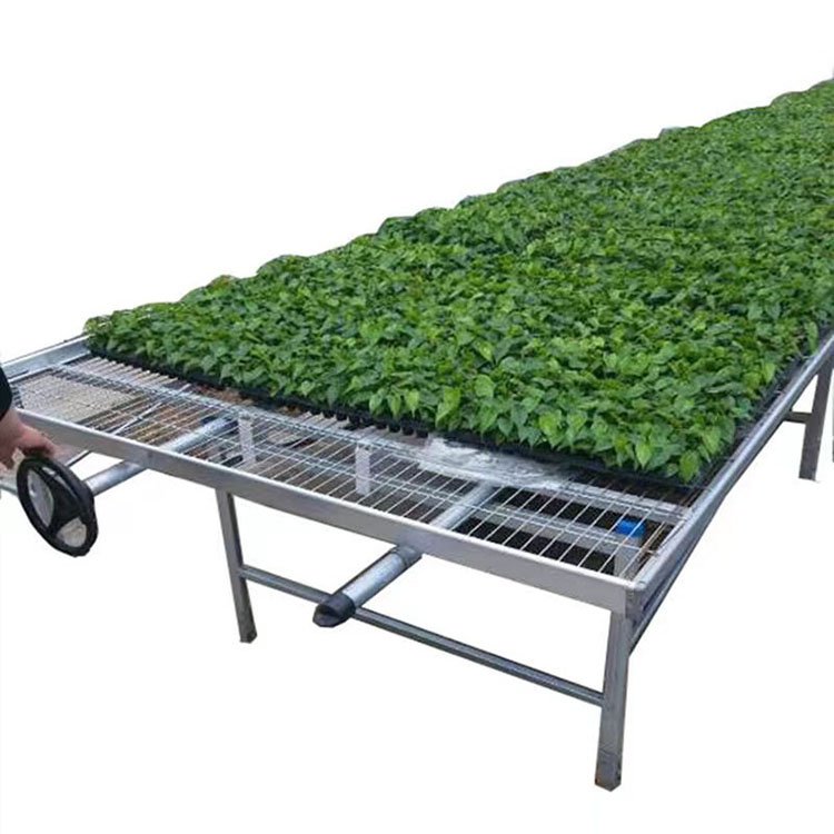 Direct sale agricultural greenhouse planting net mobile seedling bed corrosion-resistant and wear-resistant