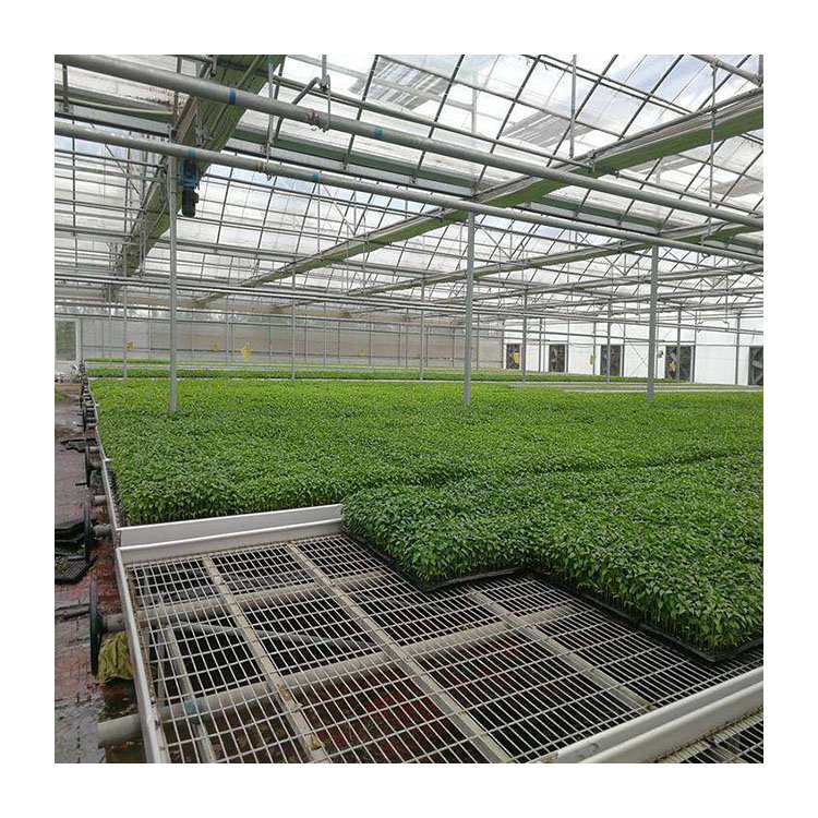 Direct sale agricultural greenhouse planting net mobile seedling bed corrosion-resistant and wear-resistant